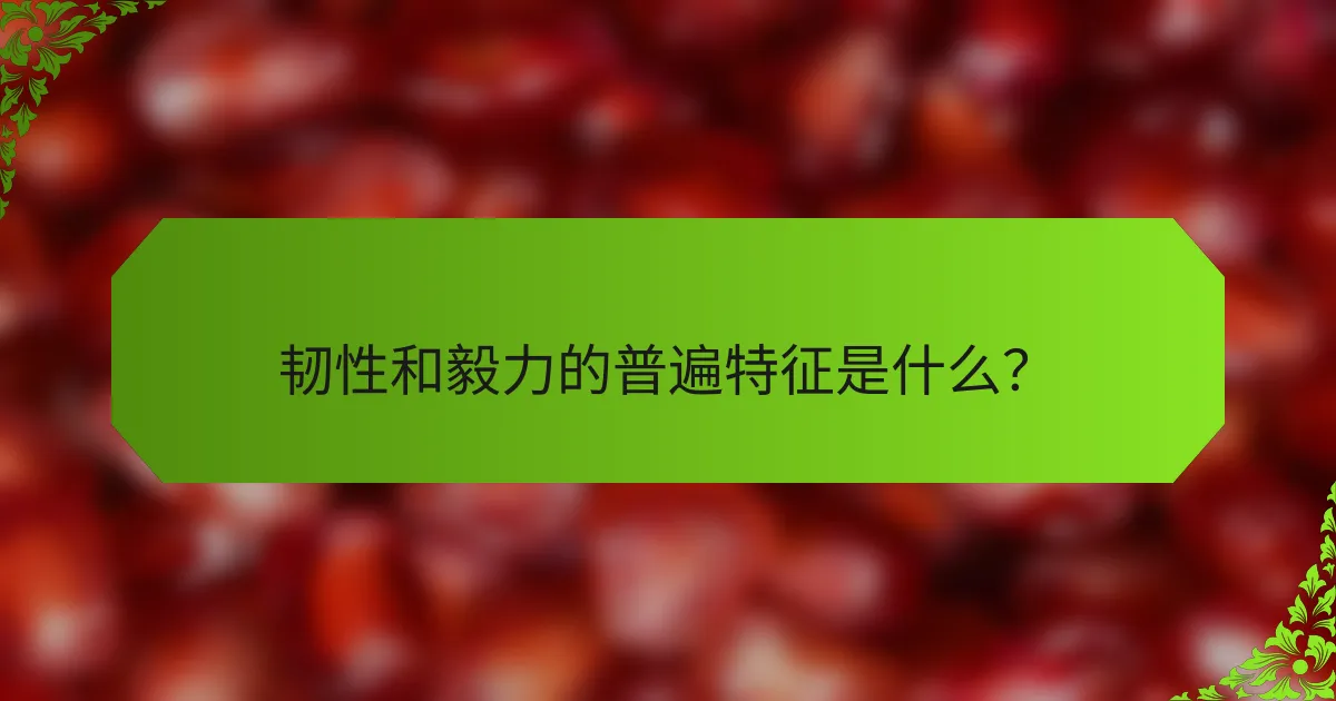 韧性和毅力的普遍特征是什么？